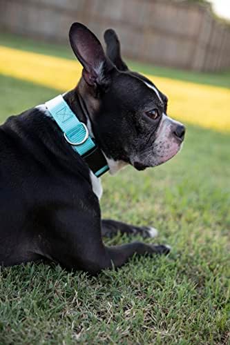 Martingale Dog Collar - Heavy Duty Nylon Adjustable Martingale Dog Collar with Plastic Buckle for Small Medium Large Breeds - 30+ Colors (1 Inch, Medium, Light Cyan)