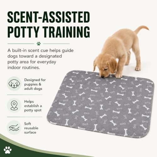 Novapaw Pee Pad with Pheromones, Puppy Mat Washable for Dog and Cat, Durable Leak-Proof & Anti-Slip Pet Training Pads, Large Size, Potty Mat for Senior Dogs, 31*35in