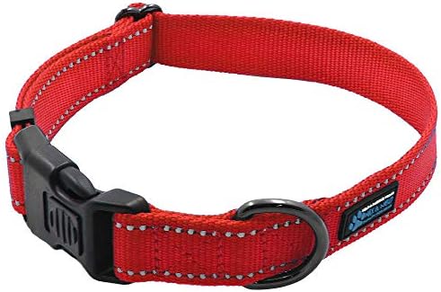 Max and Neo NEO Nylon Buckle Reflective Dog Collar - We Donate a Collar to a Dog Rescue for Every Collar Sold (Small, RED)