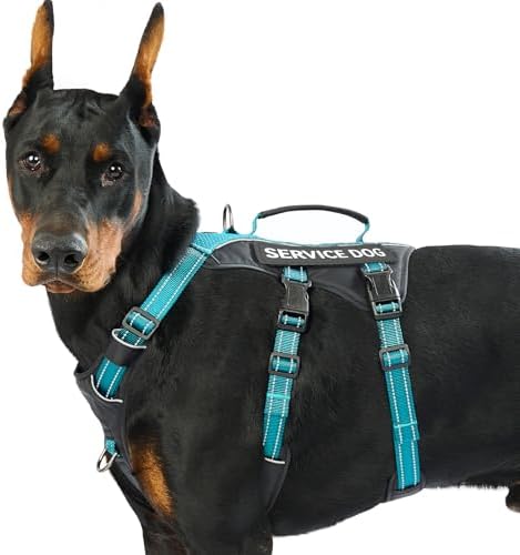 Huntboo Service Dog Vest Harness, Escape Proof Harness with 6 Patches, No-Pull, Reflective Harness with Handle, Adjustable for Small to Large Dogs, for Training and Hiking (Teal, L)