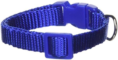 Zack & Zoey ⅜" Wide Nylon Dog Collar, Fits Necks 6" to 10", Nautical Blue