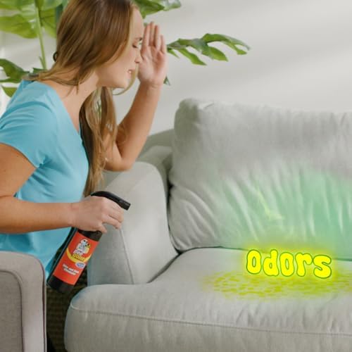 Pet Stain & Odor Eliminator, Multi-Surface Cleaner Spray for Home, Carpet Cleaner for Dog & Cat Areas, 16oz Spray Bottle & Mitt