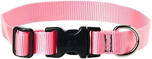 LupinePet Basics 1" Pink 12-20" Adjustable Collar for Medium and Larger Dogs