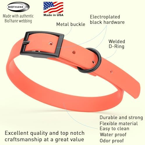 Dogline Biothane Waterproof Dog Collar Strong Coated Nylon Webbing with Black Hardware Odor- Proof for Easy Care Easy to Clean High Performance Fits Small Medium or Large Dogs, Coral