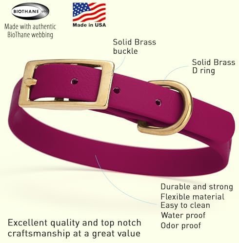 Viper Biothane Heavy Duty Waterproof Dog Collar Strong Coated Nylon Webbing w/Solid Brass Hardware Odor-Proof Easy to Clean High Performance Fits Small Medium or Large Dogs, Magenta Pink