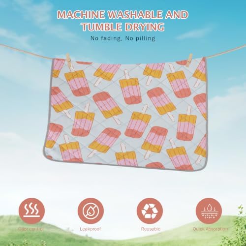 IEUUMLER Washable Pee Pads for Dogs, 2 Pack Non-Slip & Waterproof Pack Whelping Pad, Reusable Puppy Potty Training Pad with Fast Absorbent for Playpen EU007 (Grey Ice Pop, 24"X18"-2pcs)