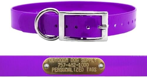 Heavy Duty Waterproof D-Ring Dog Collar w Personalized Name Tag, Purple 18"