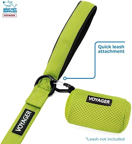Best Pet Supplies Dog Poop Bag Holder Leash Attachment with Reusable Dispenser for Travel, Walking, Park, and Outdoor Use, Durable with Clip-On - Lime Green, Pack of 2, Mesh Dispenser w/30 Bags