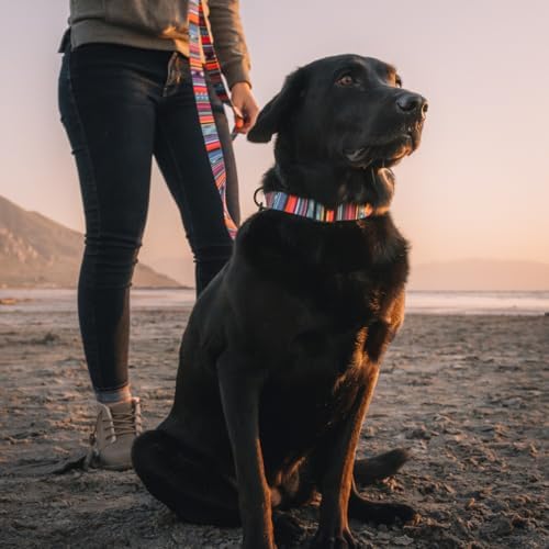 Wolfgang Heavy Duty, Adjustable Dog Collar with Quick Release Nylon Buckle for Walking & Training, Quetzal Print, Small
