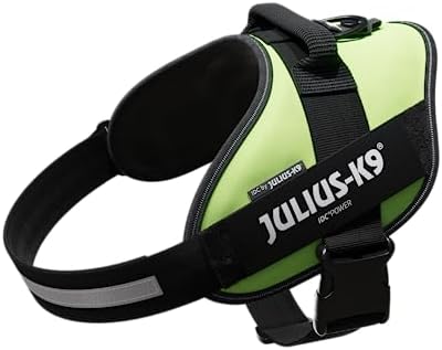 Julius-K9, 16IDC-NE-2, IDC Powerharness, Dog Harness, Size: 2, Neon Green
