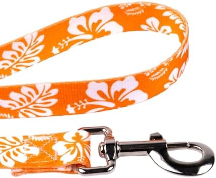 Country Brook Petz - Orange Hawaiian Everyday Dog Leash - Summer Breeze Collection Featuring Sunny Designs (4 Foot, 1/2 Inch Wide)