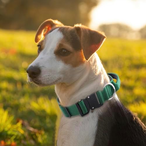 TSPRO Tactical Dog Collar, Heavy Duty Quick Release Metal Buckle and Handle