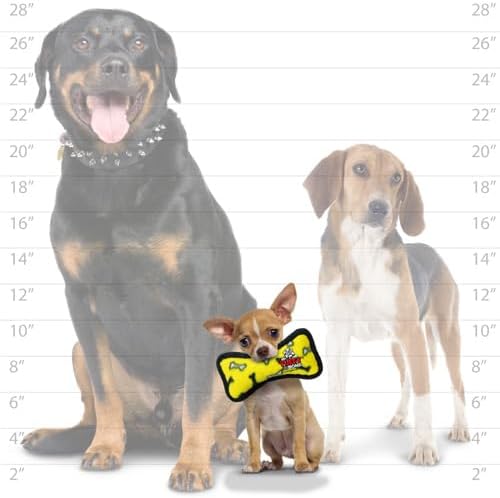 TUFFY® : 2 Pack Bone Dog Toy: Ultra Durable Plush Toy with Multiple Layers & Reinforced Seams, Washable and Floats, Original Construction