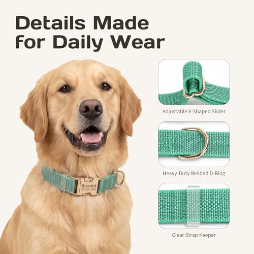 Custom Dog Collar with Name and Phone Number