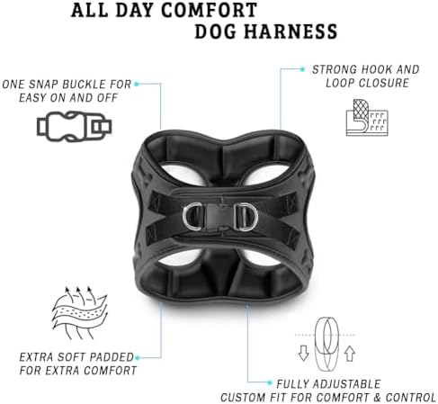 Comfort fit Step-in Dog & Puppy Harness - Comfortable All Weather Dog Vest Harness: Adjustable, Soft Padded, Easy to Put-on for Small, Medium-Sized Dogs.