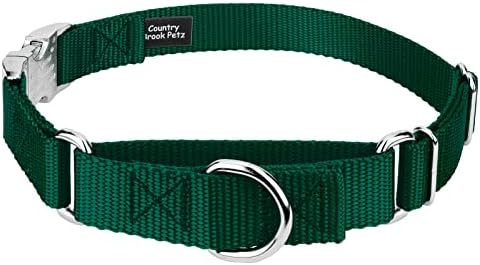 Country Brook Petz - Martingale Dog Collar - Heavy Duty Nylon Adjustable Martingale Dog Collar with Metal Buckle for Small Medium Large Breeds - 30+ Color Options (3/4 Inch, Small, Green)
