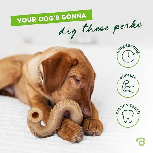 Benebone Tripe Bone Durable Dog Chew Toy for Aggressive Chewers, Medium