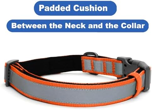Pawtitas Personalized Reflective Padded Dog Collar with Name Phone Number - Adjustable Customized Orange Medium Dog Collar