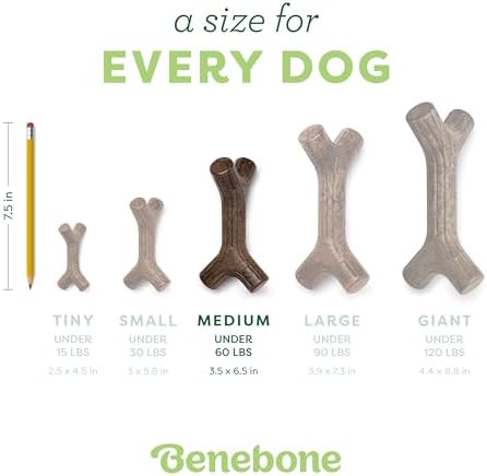 Benebone Bacon Stick Chew Toy for Aggressive Chewers, Real Bacon, Medium