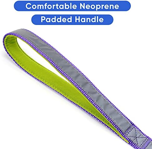 Pawtitas 6 FT Padded Dog Leash with Comfortable Neoprene Padding Handle - Purple Lead | Medium Reflective Dog Leash with Highly Reflective Band Perfect for Medium and Large Dogs and Puppies.