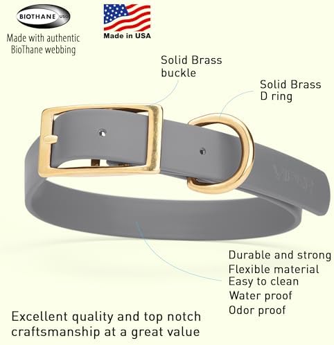 Viper Biothane Heavy Duty Waterproof Dog Collar Strong Coated Nylon Webbing w/Solid Brass Hardware Odor-Proof Easy to Clean High Performance Fits Small Medium or Large Dogs, Battleship Gray