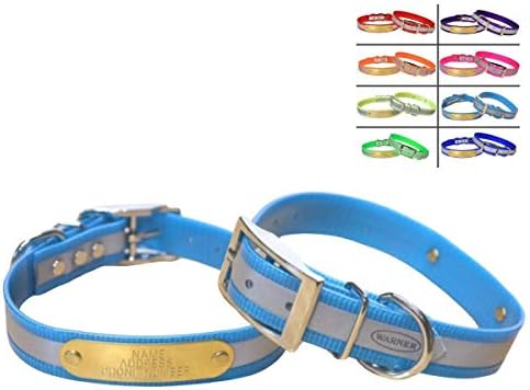 Reflective Dayglo Dog Collar Free Engraved Brass ID tag USA (Aqua 19”)