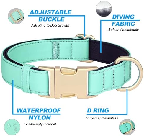 Didog Soft Padded Dog Collar for Small Dogs, Teal, S Neck 10-15"