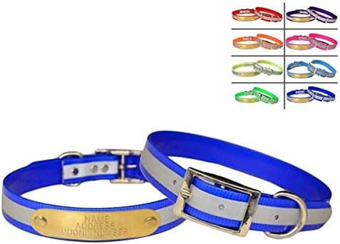 Reflective Dayglo Dog Collar Free Engraved Brass ID tag USA (Blue 25")