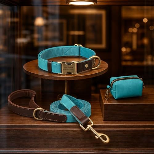Personalized Dog Collars, Quick Release Buckle, Light Blue,S