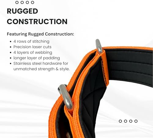 SparkDog Padded Working Dog Collar (Bright Orange, 2" Padded (16-21" Neck)