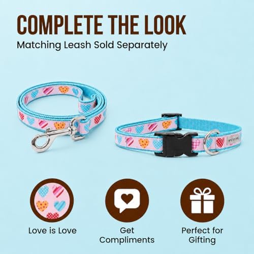 THE WORTHY DOG Summer Print, Adjustable Dog Collar, Small Dogs,Love is Love