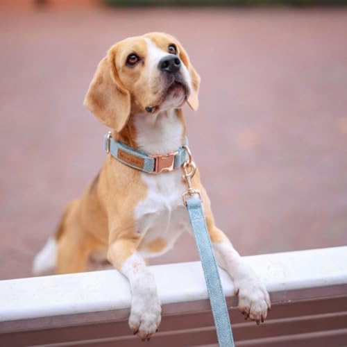 – Luxury 3-Piece Dog Walking Set – Adjustable Collar, 150 cm Leash, Poo Bag Holder – English Tweed & Soft Velvet – Elegant, Comfortable & Practical – 3 Colors