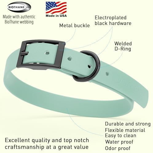 Dogline Biothane Waterproof Dog Collar Strong Coated Nylon Webbing with Black Hardware Odor- Proof for Easy Care Easy to Clean High Performance Fits Small Medium or Large Dogs, Sage Green