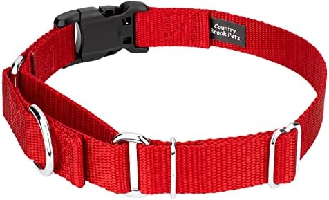 Martingale Dog Collar - Heavy Duty Nylon Adjustable Martingale Dog Collar with Plastic Buckle for Small Medium Large Breeds - 30+ Colors (5/8 Inch, Extra Small, Bright Red)