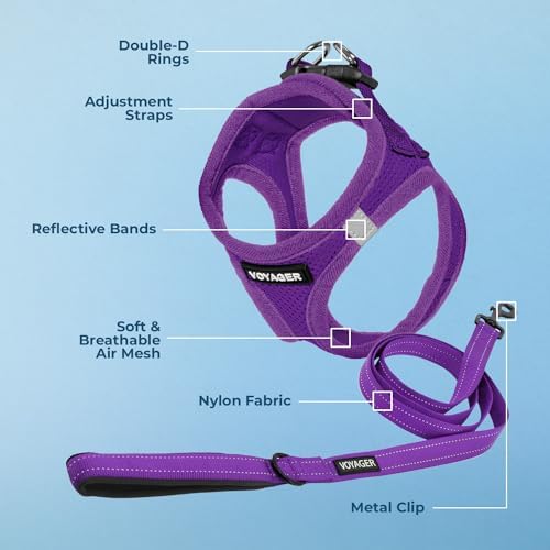 Best Pet Supplies Voyager Step-in Air All Weather Mesh Harness and Reflective Dog 5ft Leash Combo with Neoprene Handle, for Small, Medium and Large Breed Puppies - Purple, XX-Small