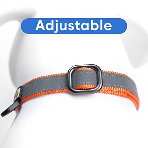 Pawtitas Orange Reflective Martingale Dog Collar, Small