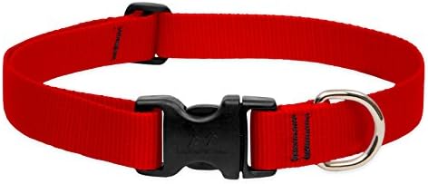 LupinePet Basics 1" Red 25-31" Adjustable Collar for Extra Large Dogs