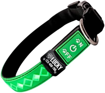 Personalized Flashing Dog Collar with Laser Engraved ID Tag
