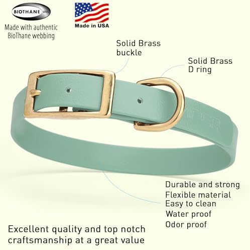 Viper Biothane Heavy Duty Waterproof Dog Collar Strong Coated Nylon Webbing w/Solid Brass Hardware Odor-Proof Easy to Clean High Performance Fits Small Medium or Large Dogs, Sage Green
