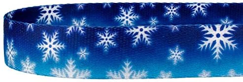 Country Brook Petz - Winter Wonderland Everyday Dog Leash - Christmas Collection Featuring Festive Designs (6 Foot, 1 Inch Wide)