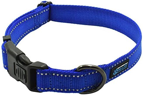 Max and Neo NEO Nylon Buckle Reflective Dog Collar - We Donate a Collar to a Dog Rescue for Every Collar Sold (Large, Blue)