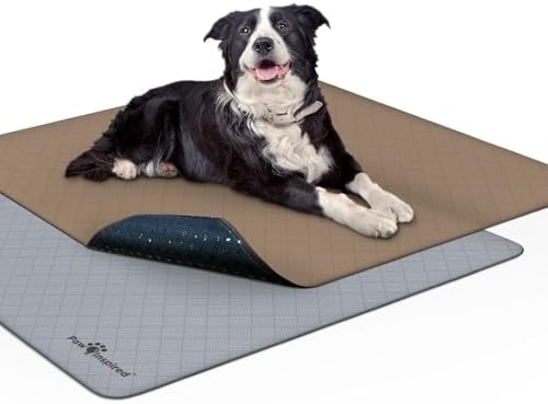 Paw Inspired Washable Pee Pads for Dogs, 41x41 Inch, 2 Pack