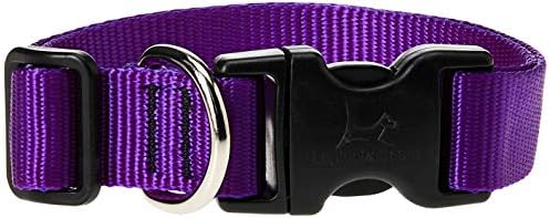 LupinePet Basics 3/4" Purple 13-22" Adjustable Collar for Medium and Larger Dogs