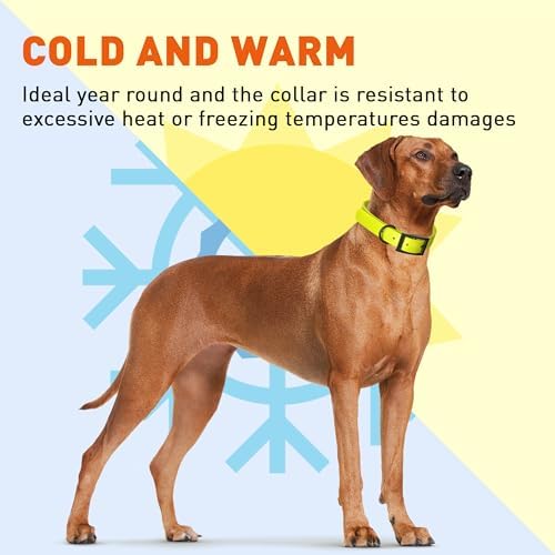 Dogline Biothane Waterproof Dog Collar Strong Coated Nylon Webbing with Black Hardware Odor- Proof for Easy Care Easy to Clean High Performance Fits Small Medium or Large Dogs, Safety Yellow
