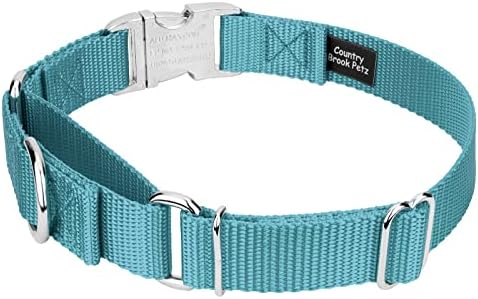 Country Brook Petz - Martingale Dog Collar - Heavy Duty Nylon Adjustable Martingale Dog Collar with Metal Buckle for Small Medium Large Breeds 30+ Color Options (1 Inch, Medium, Ocean Blue)