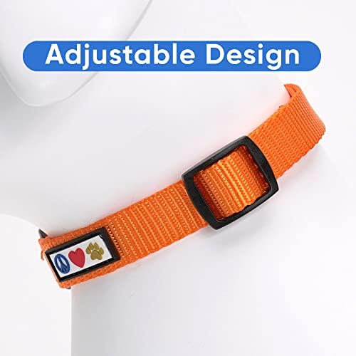 Pawtitas Solid Color Orange Puppy or Dog Collar, Small