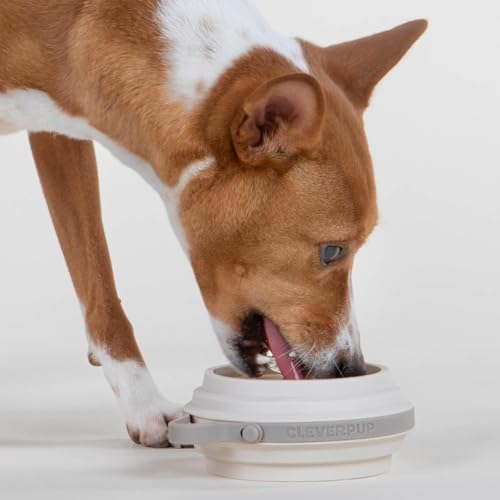 Cleverpup Nomad Small Collapsible Travel Dog Bowl - 2 Cup, Sand Silicone