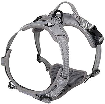 TRUE LOVE Adjustable No-Pull Dog Harness Reflective Pup Vest Harnesses Comfortable Control Brilliant Colors Truelove TLH5651(Gray,XL)