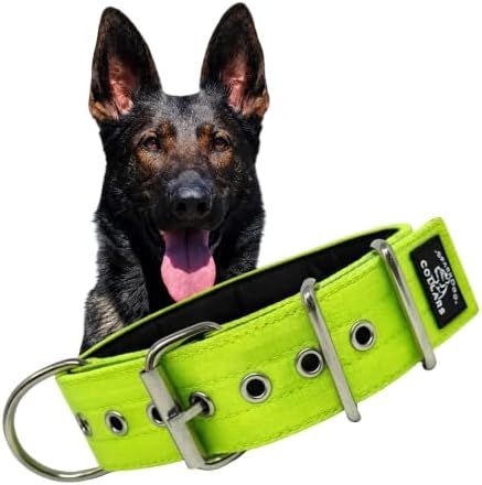 SparkDog 2" Padded Working Dog Collar (Lime Green, 2" Padded (16-21" Neck)