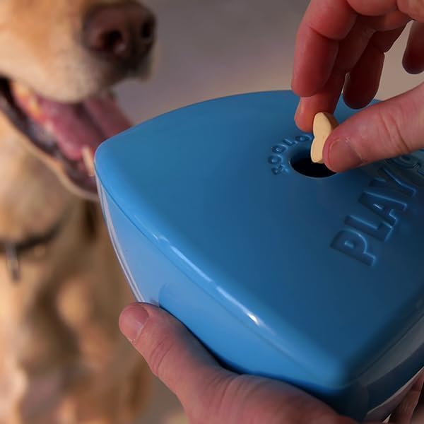 Roolo - Dog Treat Dispenser Toy (Blue), Teething Toys for All Breeds